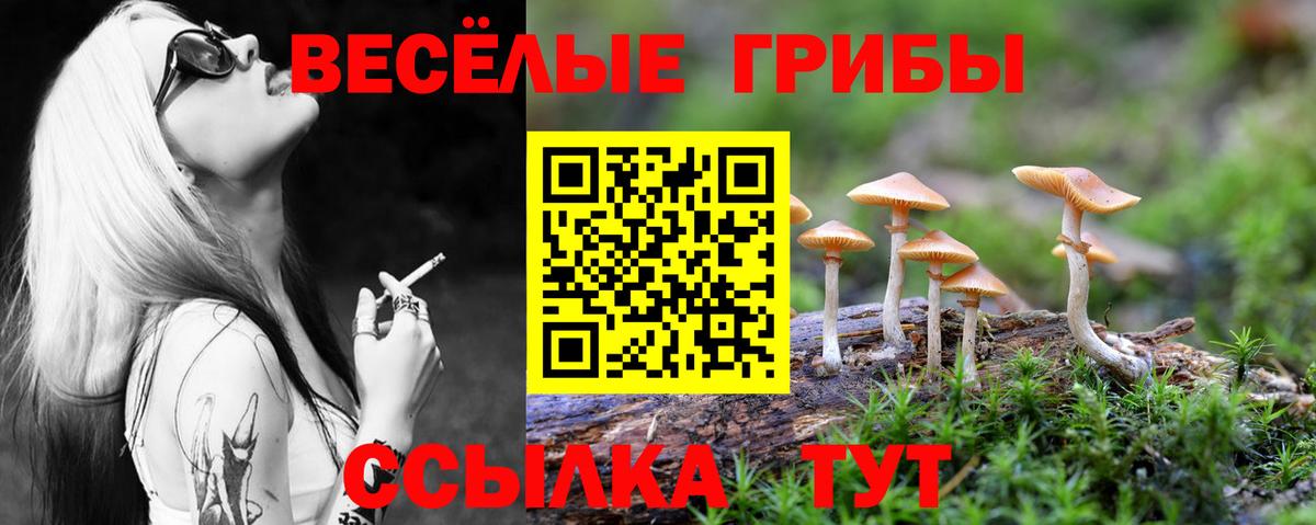 Галлюциногенные грибы MAGIC MUSHROOMS Урус-Мартан